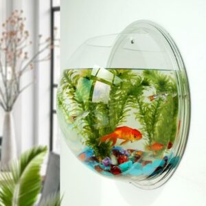 Acrylic Fish Bowl Wall...