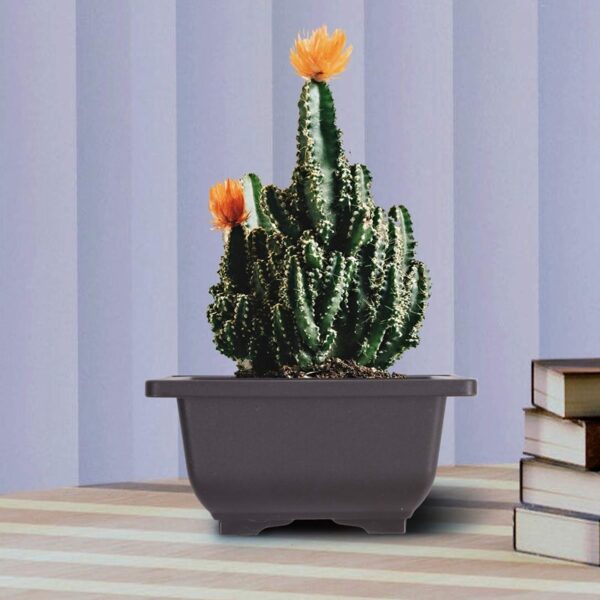 15 PCS 4.7 Inch Flower Pot, Square Plastic Bonsai Training Pot, Flower Succulent Flower Pot Container, for Garden, Interior, Hom