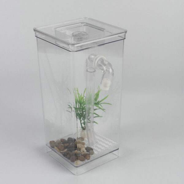 Desktop Fish Tank Ecological Goldfish Tank Aquatic Pet Supplies Mini Grass Aquarium Home Decor Self-cleaning Fun Kit