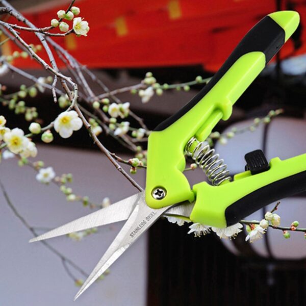 Garden Household Potted  Weed Branches Small Scissors Pruning Shears Fruit Picking Scissors Gardening Tools Steel Blades