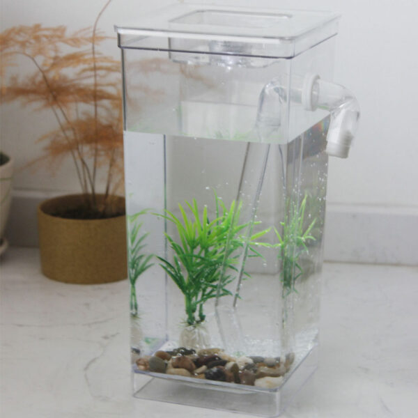 Desktop Fish Tank Ecological Goldfish Tank Aquatic Pet Supplies Mini Grass Aquarium Home Decor Self-cleaning Fun Kit