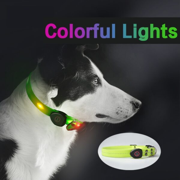 Pet dog cat Collar USB Rechargeable Flashing LED Light safety Luminous for small big Dogs Chihuahua husky dog collars supplies (dog collar)