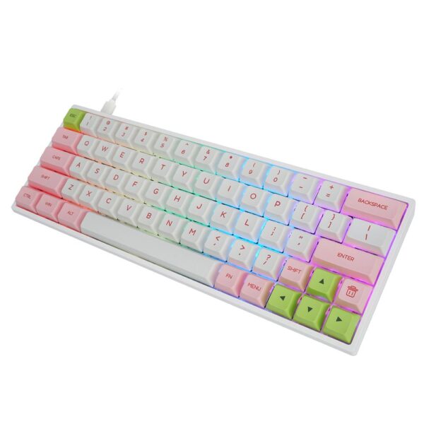 64-Key Keyboard RGB Backlit Mechanical Gaming Keyboard NKRO Bluetooth 5.1 Type-C Dual Mode PBT Keycap Gateron Optical Switch