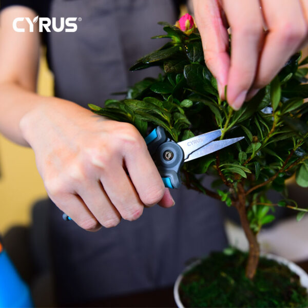 Shears Pruner Secateurs Pruning Scissors Bypass Sharpener Clippers Garden Tool Bonsai Flower Cultivating Solid Snip Floral Mini