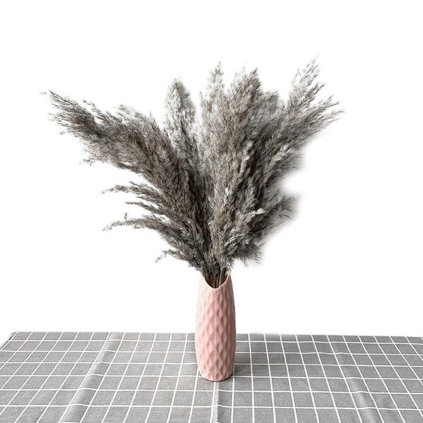 10pcs Real Dried Pampas...