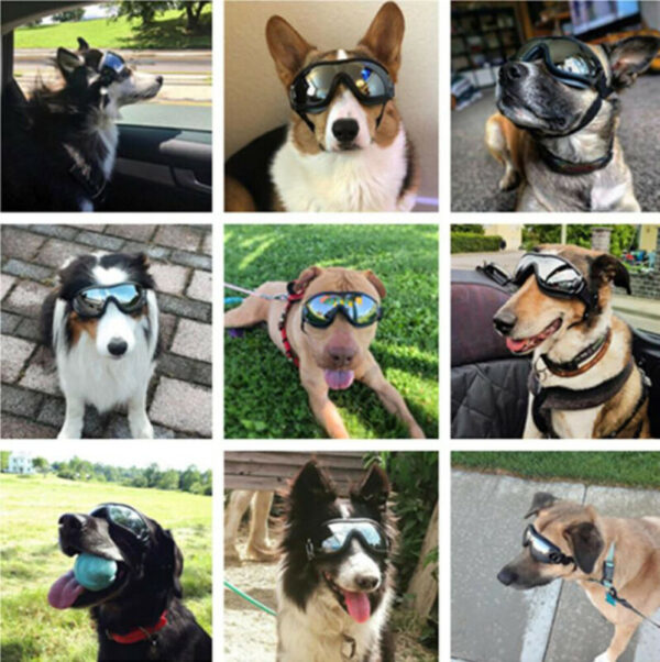 2020 HOT Adjustable Pet Dog Goggles Sunglasses Anti-UV Sun Glasses Eye Wear Protection Waterproof Sunglasses Pet Dog Supplies
