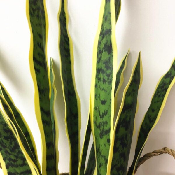 60cm Artificial Sansevieria...