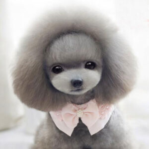 Pet Dog Accessories Bow-Knot...