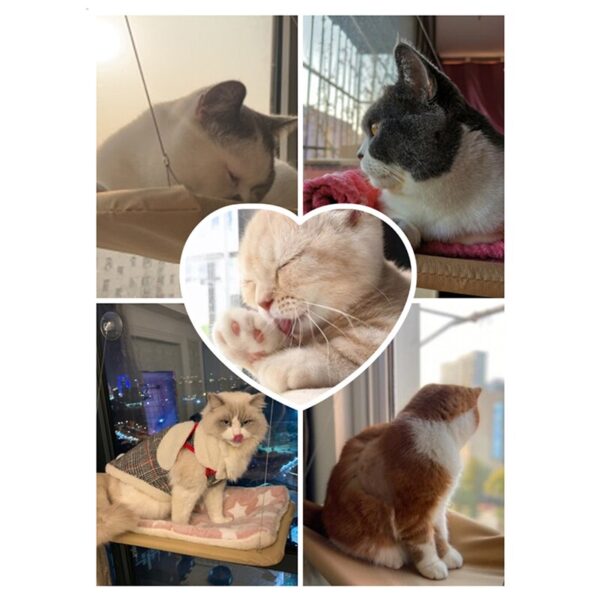 Cute Cat Hanging Beds Comfortable Sunny Seat Window Mount Pet Hammock Soft Pet Shelf Seat Beds Supplies Detachable Bearing 20kg