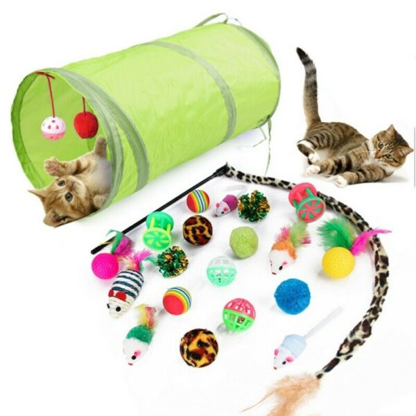 21Pcs/Set Pet Kit Collapsible...