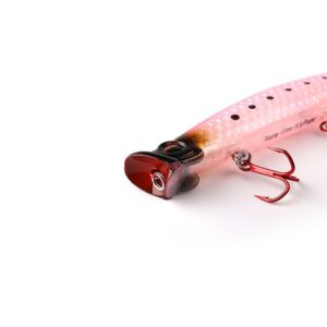 Kingdom Poppers Fishing...