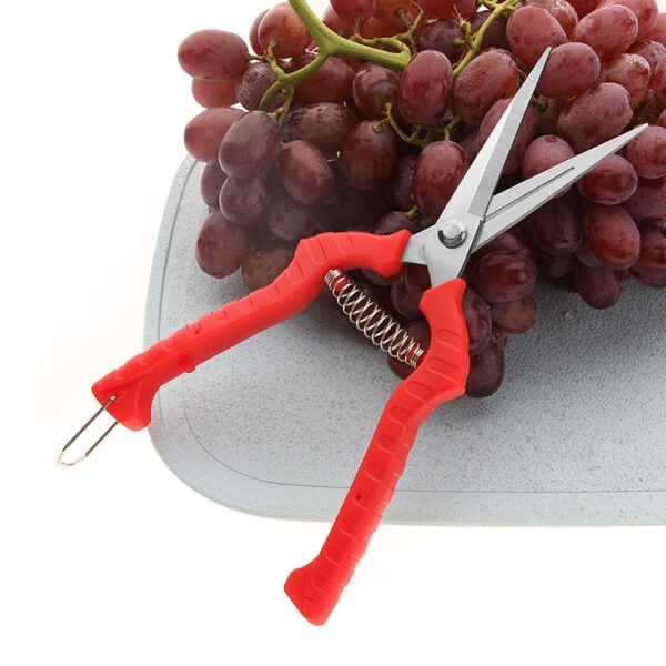 Garden Household Potted Weed Branches Small Scissors Pruning Shears Fruit Picking Scissors Gardening Tools Steel Blades